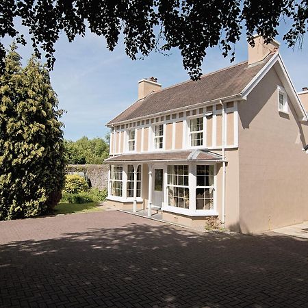 Copper Beech Cottage Henfynyw Upper Extérieur photo